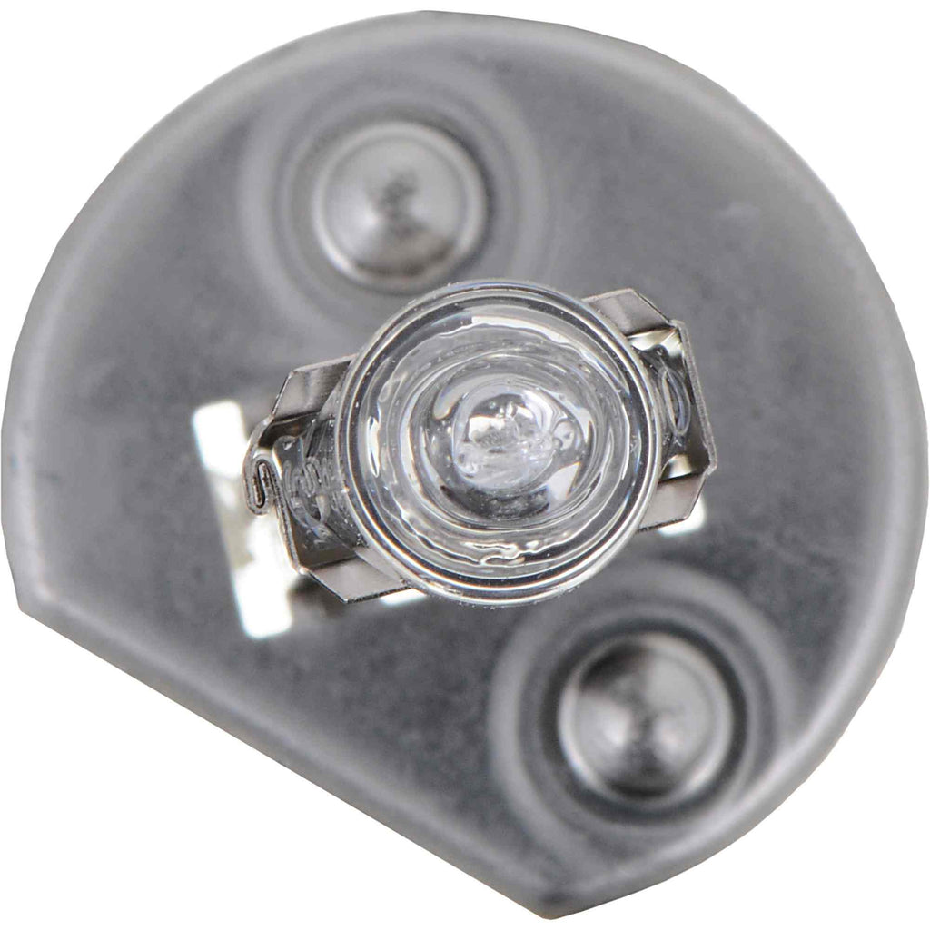 Standard Halogen Bulb - Philips Lighting H1C1-24V