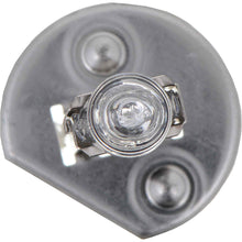 Load image into Gallery viewer, Standard Halogen Bulb - Philips Lighting H1C1-24V