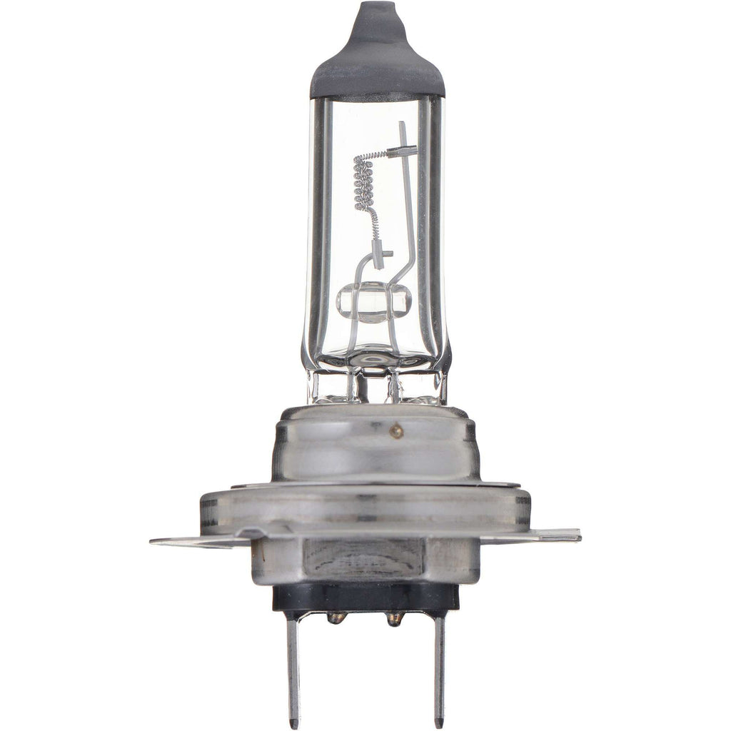 Standard Capsule - Philips Lighting H7C1-24V