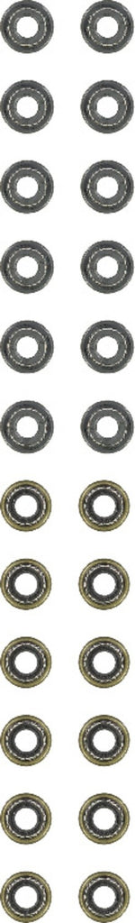 Engine Valve Stem Oil Seal Set - Reinz 12-52806-04