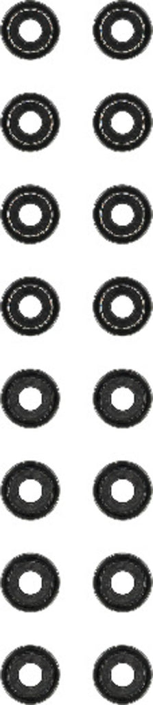 Engine Valve Stem Oil Seal Set - Reinz 12-53547-01