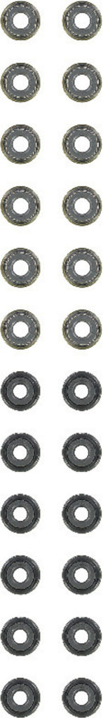 Engine Valve Stem Oil Seal Set - Reinz 12-54024-02