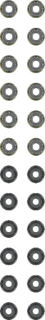 Engine Valve Stem Oil Seal Set - Reinz 12-54024-02