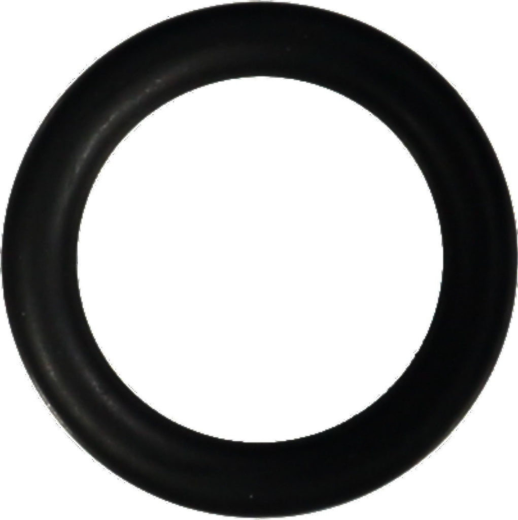 Engine Coolant Pipe O-Ring - Reinz 41-76345-00