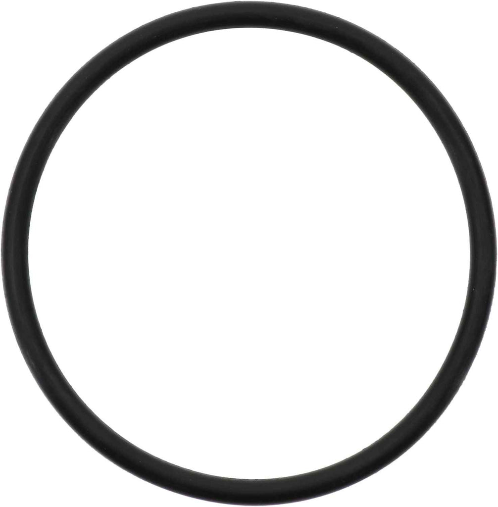 Coolant Thermostat Seal - Reinz 71-13954-00