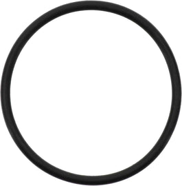 Coolant Thermostat Seal - Reinz 71-13954-00