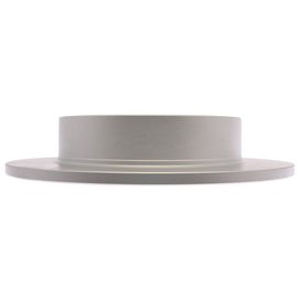 Raybestos Speciality Street Performance Coated Brake Rotor (281 mm) - Raybestos Division 982285