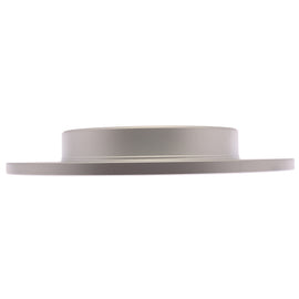 Raybestos Element3 Coated Brake Rotor (265 mm) - Raybestos Division 982494FZN