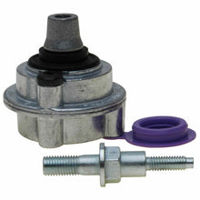 Load image into Gallery viewer, Raybestos R-Line Disc Brake Low Frequency Noise Damper - Raybestos Division H14355