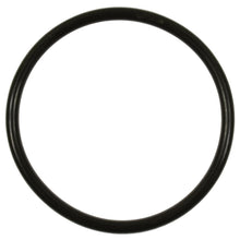 Load image into Gallery viewer, Fuel Pump O-Ring - Standard Ign Parts GDR501