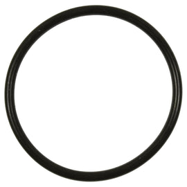 Fuel Pump O-Ring - Standard Ign Parts GDR507