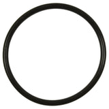 Fuel Pump O-Ring - Standard Ign Parts GDR507