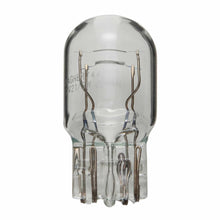 Load image into Gallery viewer, Large Standard Mini Lamp - Wagner Lighting 7443