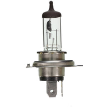 Load image into Gallery viewer, Cartoner Standard Capsule - Halogen Box - Wagner Lighting 9003