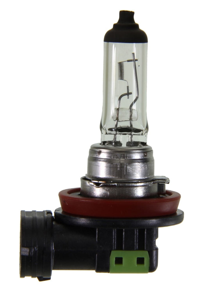 Zed Standard Capsule - Halogen Single - Wagner Lighting BP1255/H11