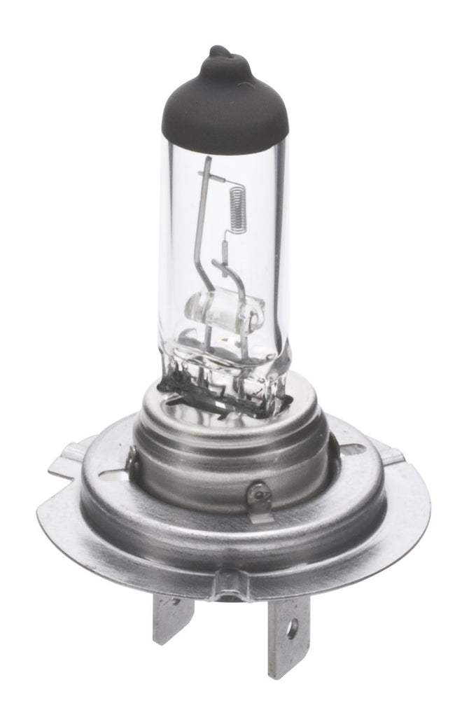 Visual Standard Mini Lamp - Wagner Lighting BP1255/H7LL