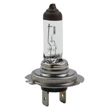Load image into Gallery viewer, Visual Standard Mini Lamp - Wagner Lighting BP1255/H7LL