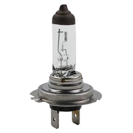 Visual Standard Mini Lamp - Wagner Lighting BP1255/H7LL