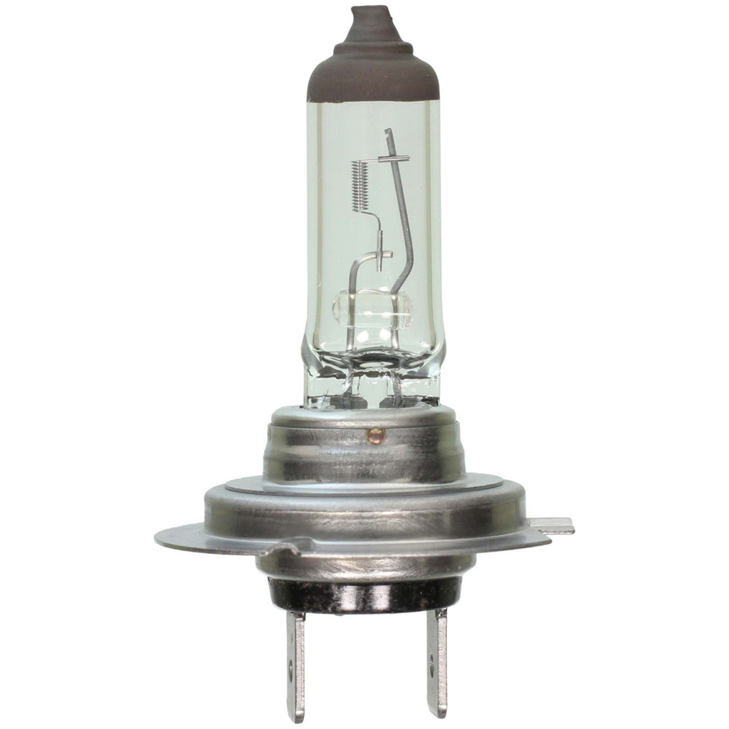 Visual Standard Mini Lamp - Wagner Lighting BP1255/H7LL