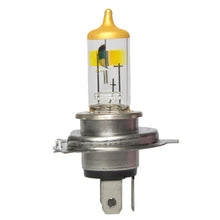 Load image into Gallery viewer, Premium Capsule - Nightdefense Twin - Wagner Lighting BP9003ND2