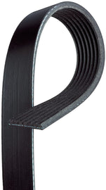 Micro-V Serpentine Drive Belt - Gates 7PK2164