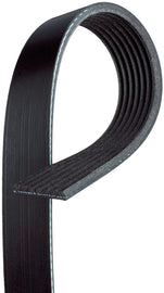 Micro-V Serpentine Drive Belt - Gates K070810